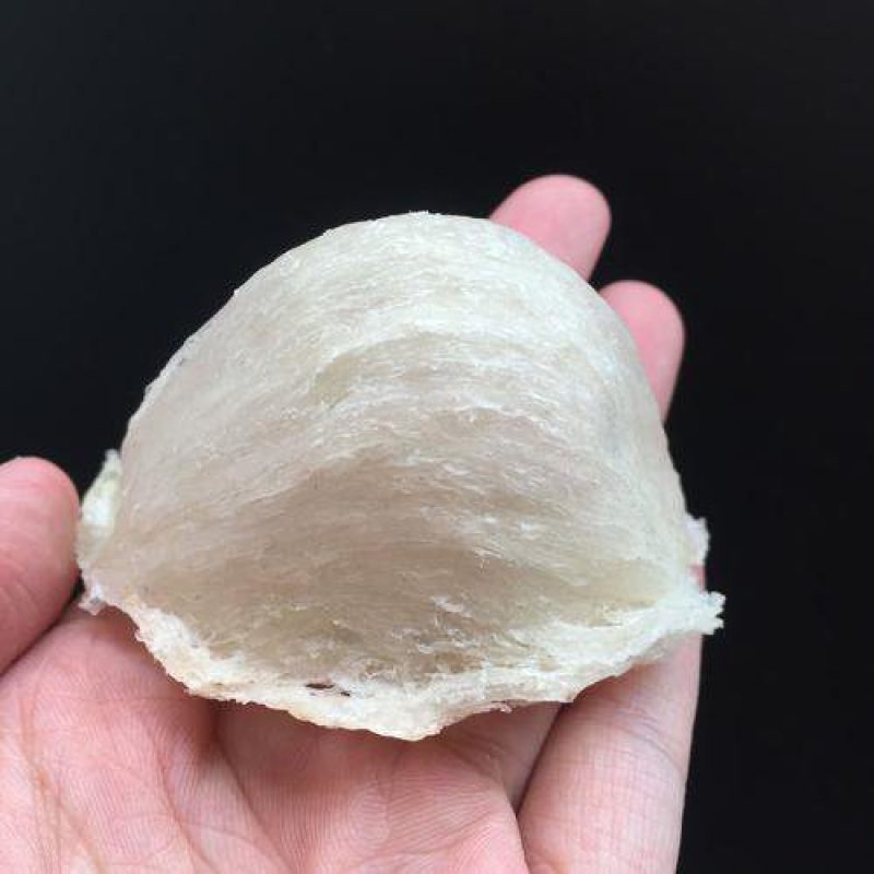 印尼:正品:三角盏燕窝密盏