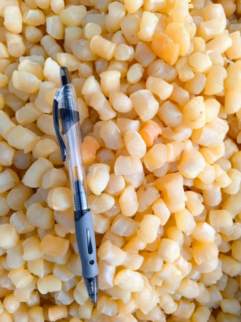 干贝各种规格种类干贝塘贝品质好价格优惠