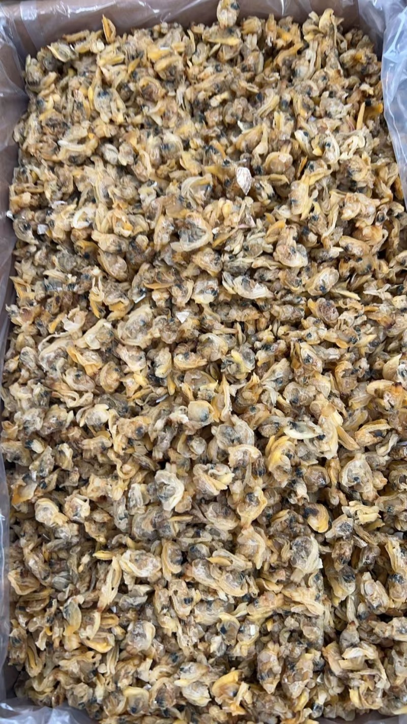 无沙哈利肉蚬子干质量好价格优