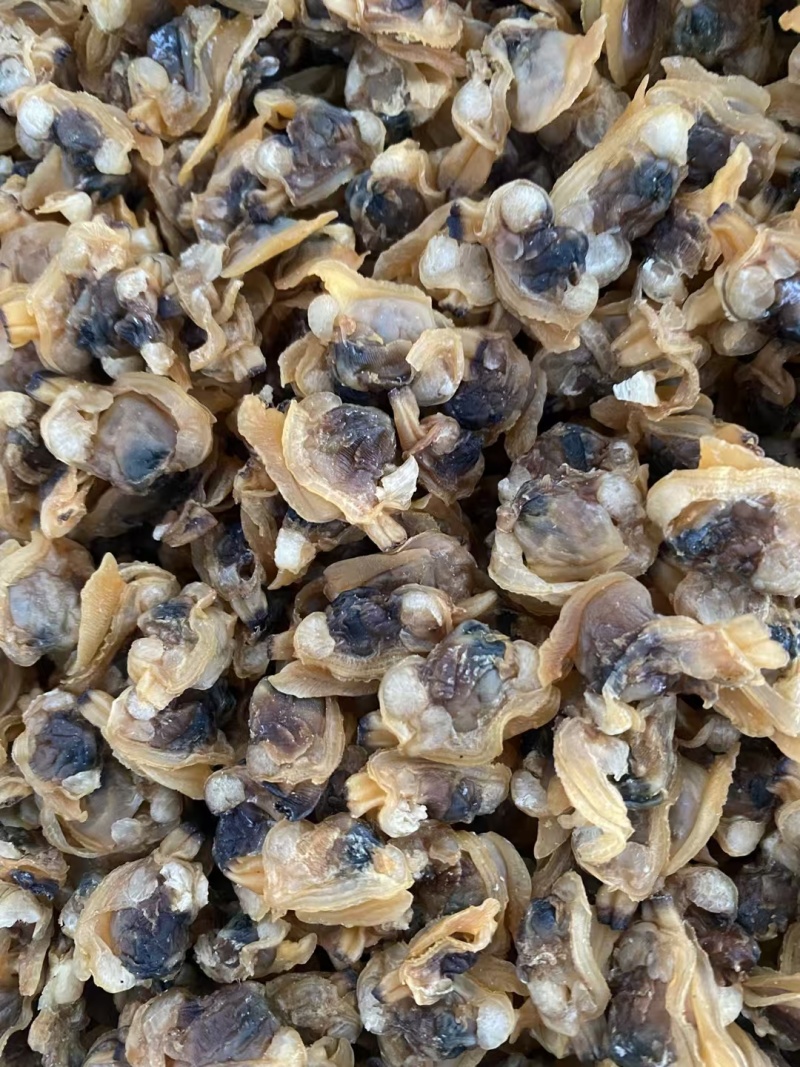无沙哈利肉蚬子干质量好价格优