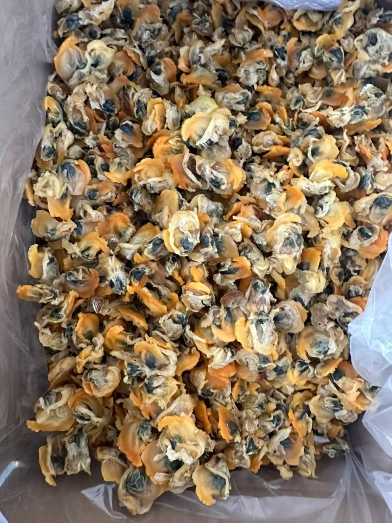 无沙哈利肉蚬子干质量好价格优