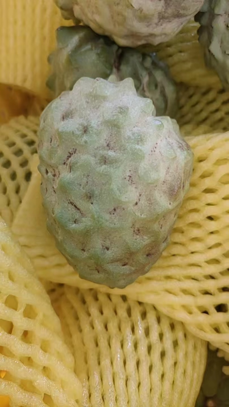 广西释迦果