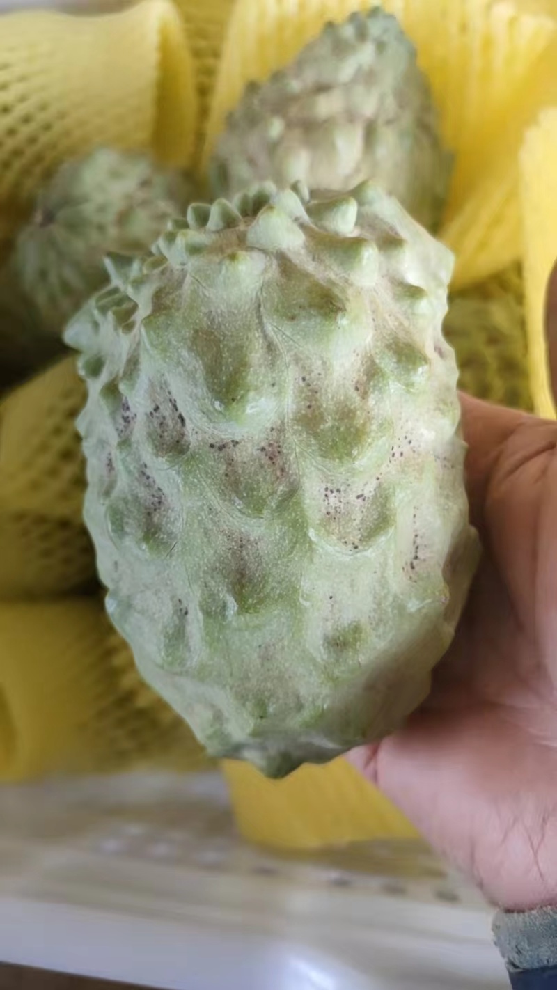 广西释迦果