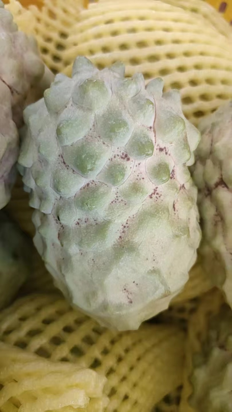 广西释迦果