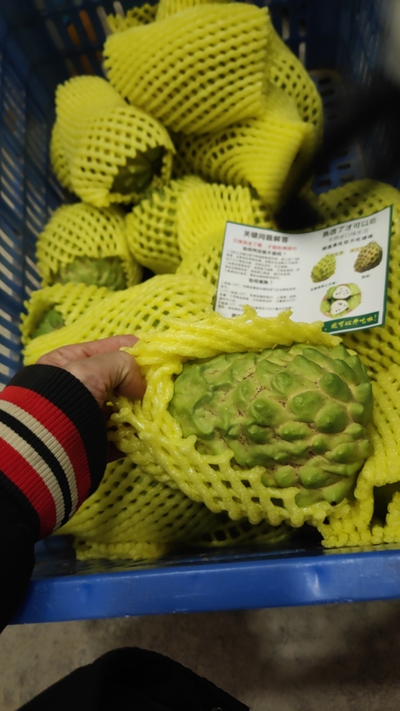 广西释迦果