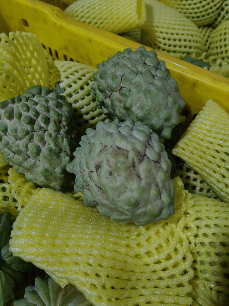 广西释迦果