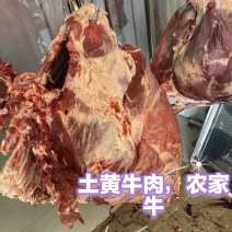 精品土黄牛肉，农家黄牛肉，品质高，新鲜现杀，真正好吃的肉