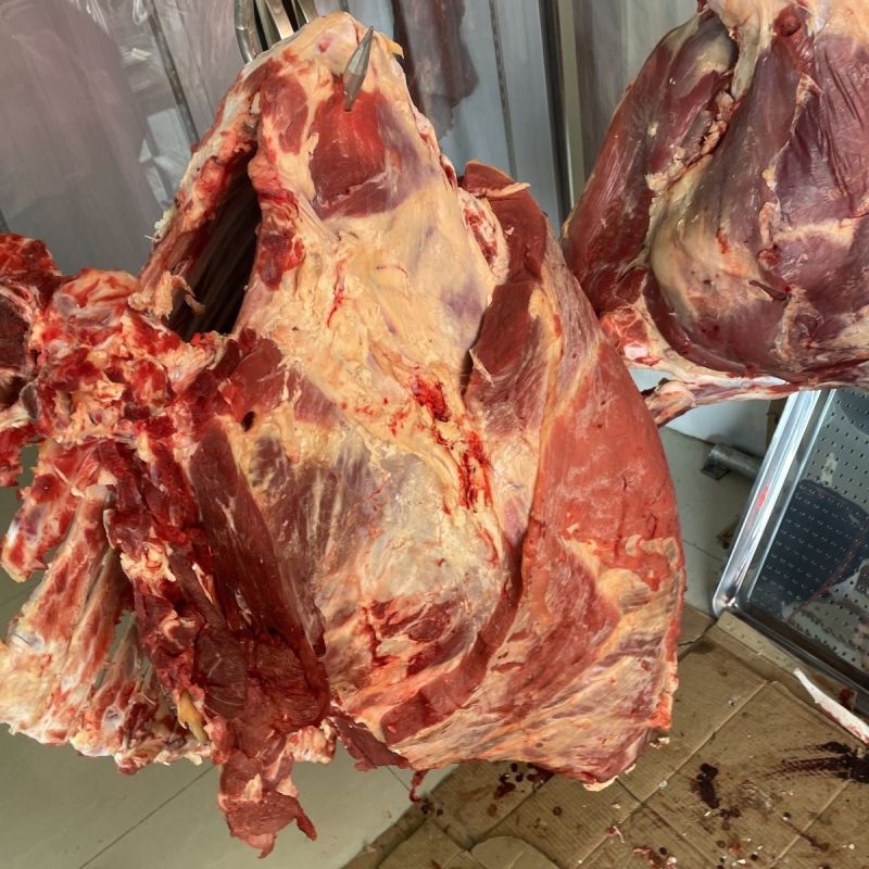 精品土黄牛肉，农家黄牛肉，品质高，新鲜现杀，真正好吃的肉