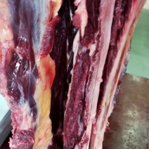 精品黄牛腿肉，土黄牛腿肉，高品质黄牛肉，批发全国优质客户