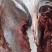 精品黄牛腿肉，土黄牛腿肉，高品质黄牛肉，批发全国优质客户