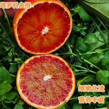 【实力推荐】四川塔罗科血橙对接商超团购供应链一条龙服务