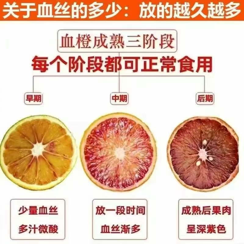 【实力推荐】四川塔罗科血橙对接商超团购供应链一条龙服务