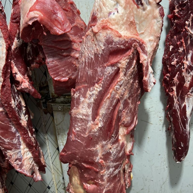精品牛腩肉，黄牛牛腩，土黄牛牛腩，高质量牛肉对接优质客户