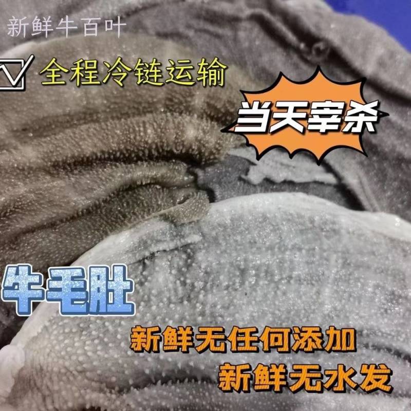 牧小牛黄牛百叶，高品质牛百叶，对接全国各地各类优质采购商