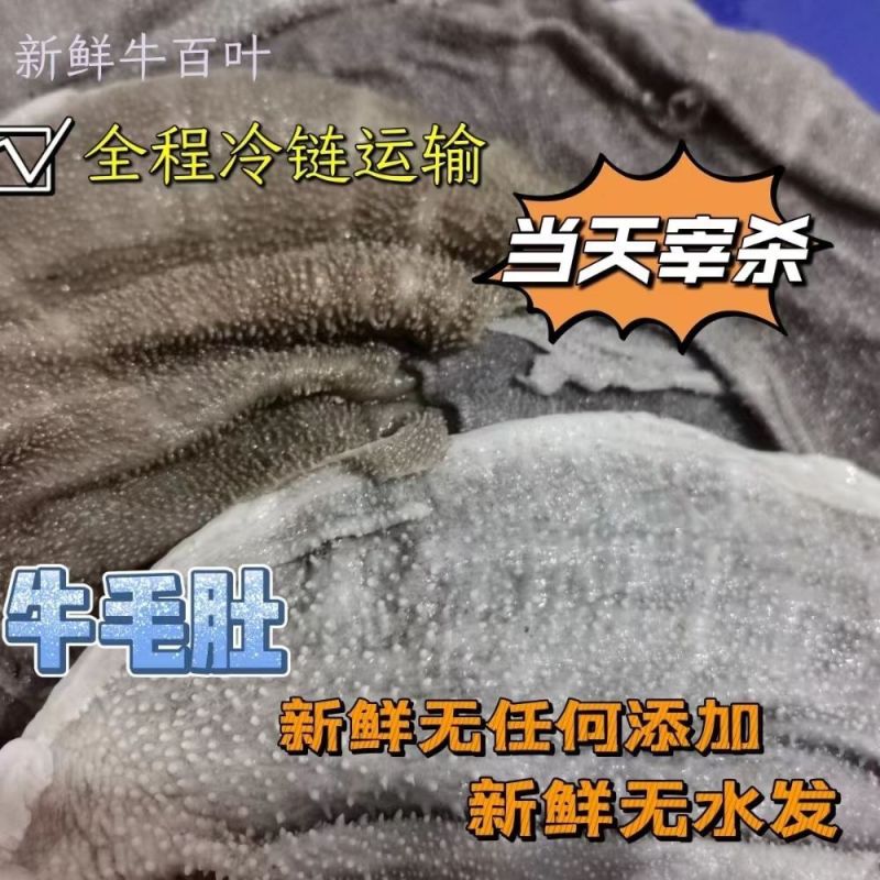 牧小牛黄牛百叶，高品质牛百叶，对接全国各地各类优质采购商