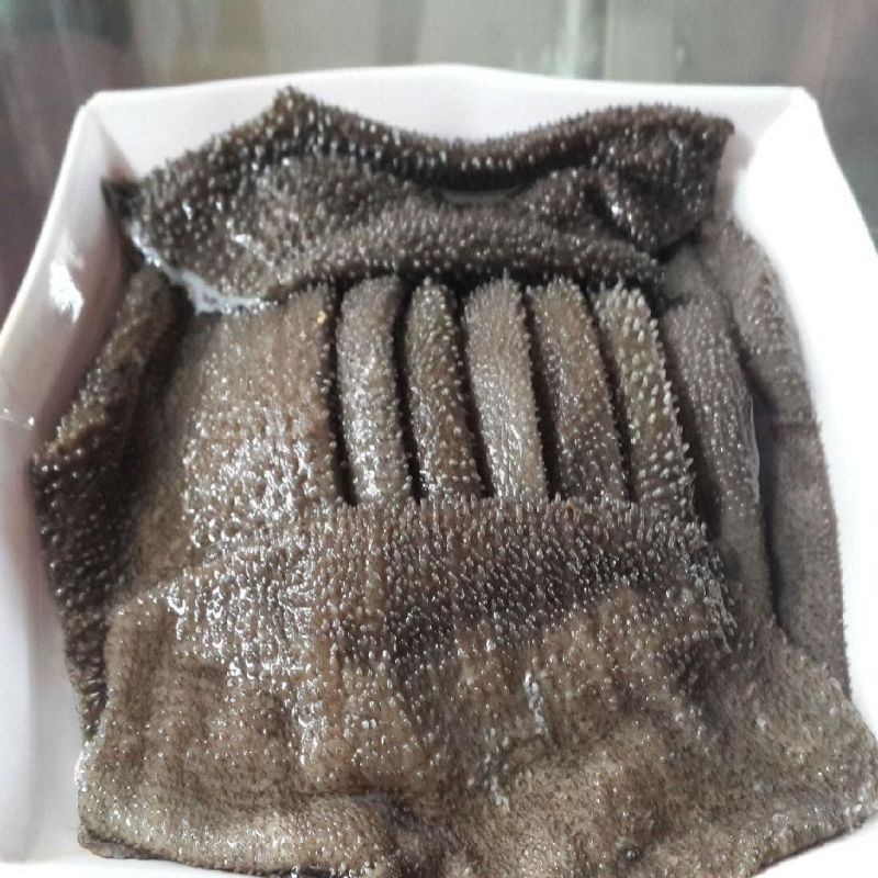 牧小牛黄牛百叶，高品质牛百叶，对接全国各地各类优质采购商