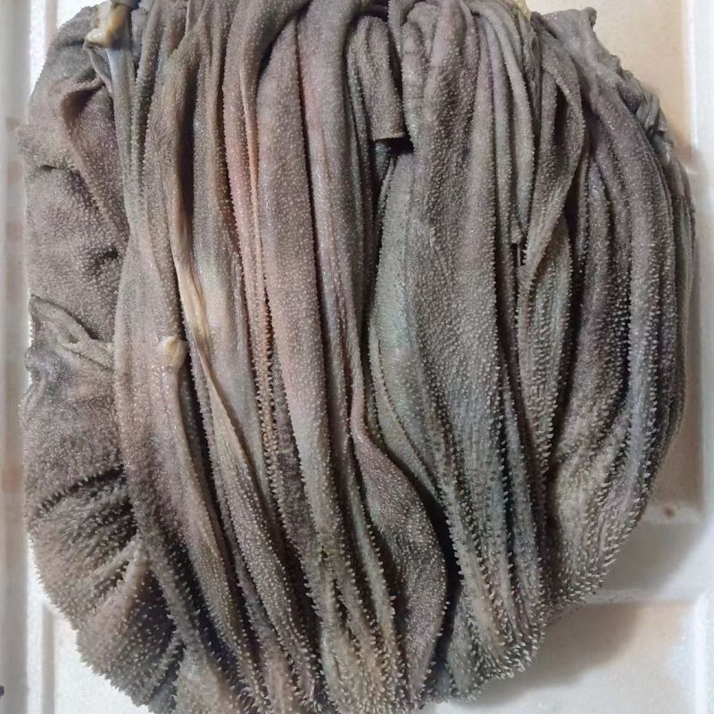 牧小牛黄牛百叶，高品质牛百叶，对接全国各地各类优质采购商