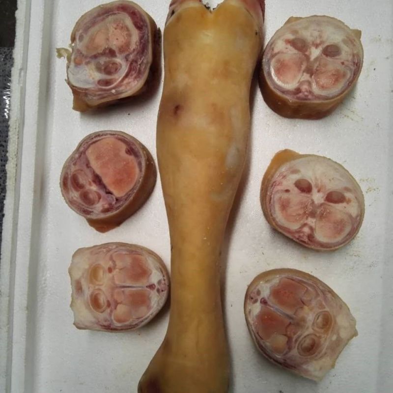 牧小牛黄牛蹄，土黄牛蹄子，精品货质量好，对接全国优质客户