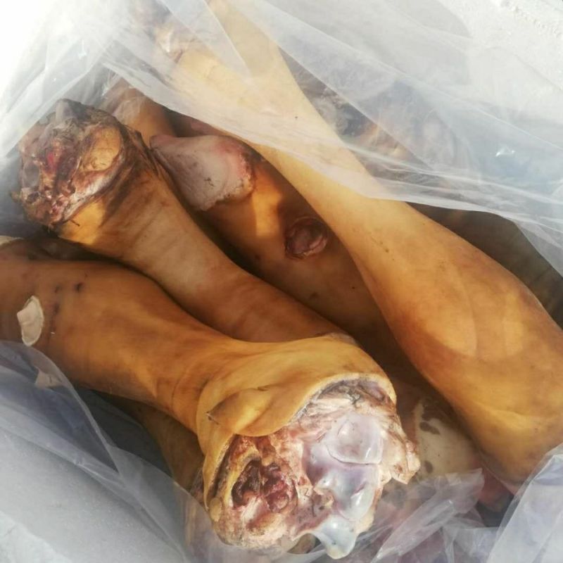 牧小牛黄牛蹄，土黄牛蹄子，精品货质量好，对接全国优质客户