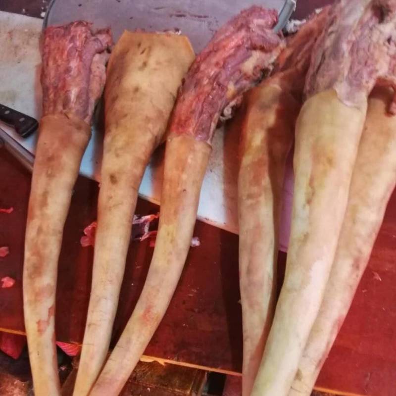 牧小牛土黄牛尾，高品质精品牛尾，对接高端酒店，餐饮，私厨