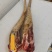 牧小牛土黄牛尾，高品质精品牛尾，对接高端酒店，餐饮，私厨