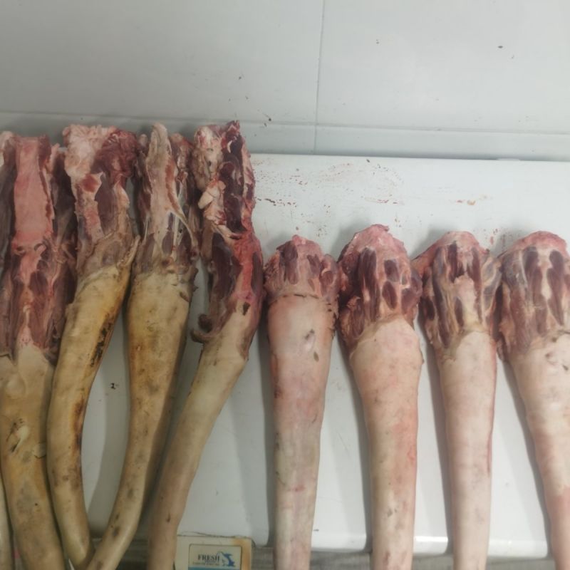 牧小牛土黄牛尾，高品质精品牛尾，对接高端酒店，餐饮，私厨
