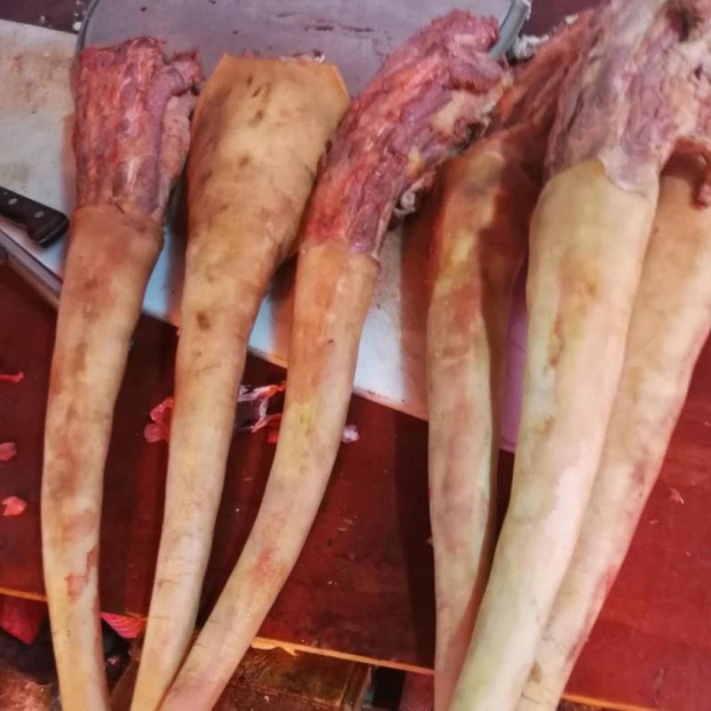 牧小牛土黄牛尾，高品质精品牛尾，对接高端酒店，餐饮，私厨