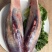 新鲜黄牛肉，农家土黄牛肉