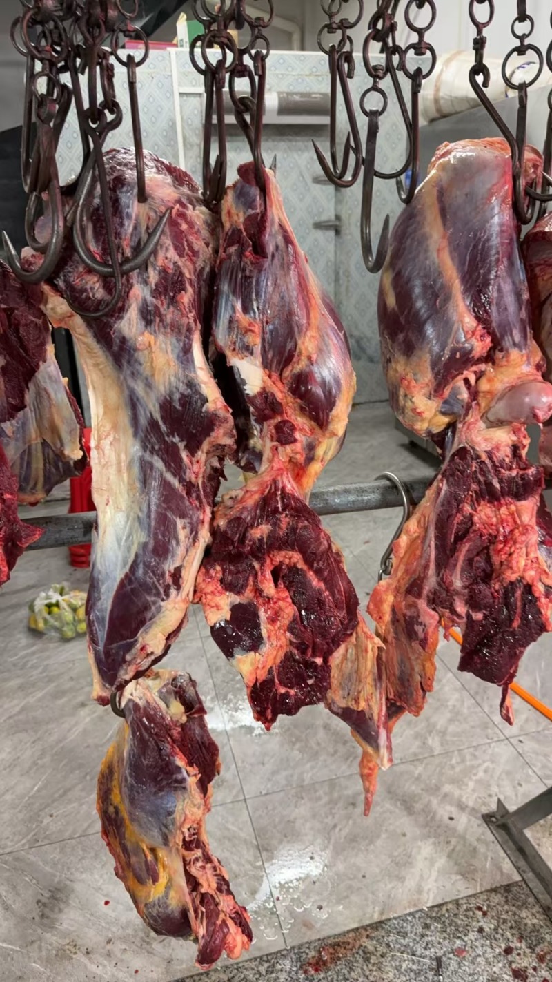 新鲜黄牛肉，农家土黄牛肉