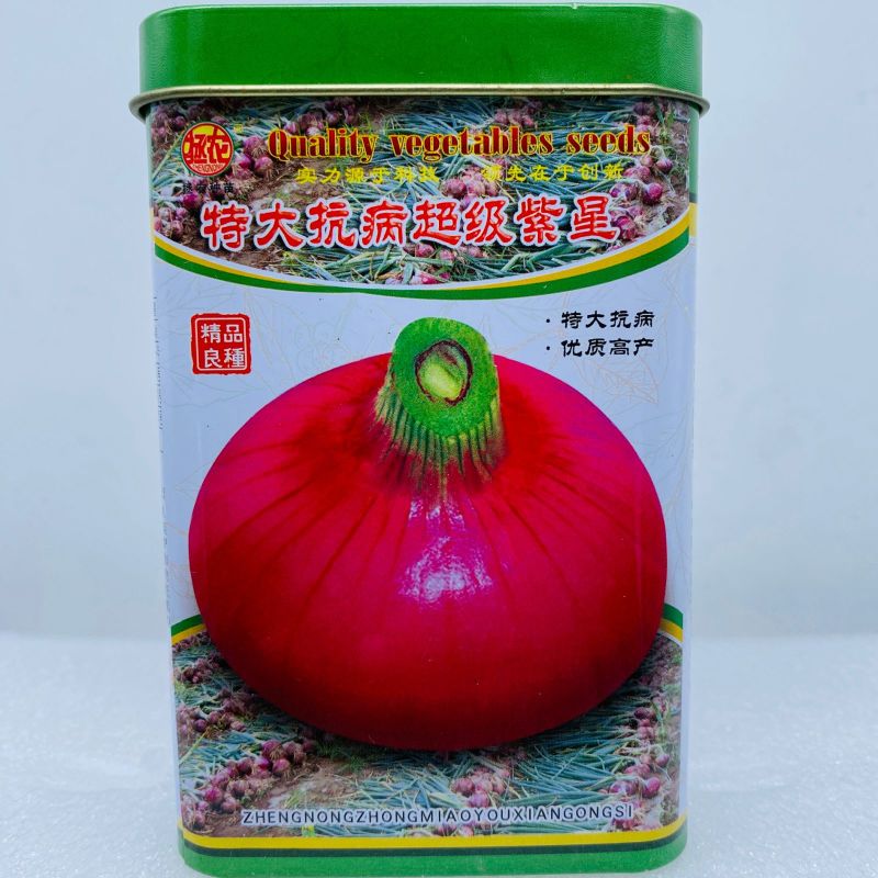 特大抗病**紫星洋葱种子优质高产抗病耐储运农家春秋精选种