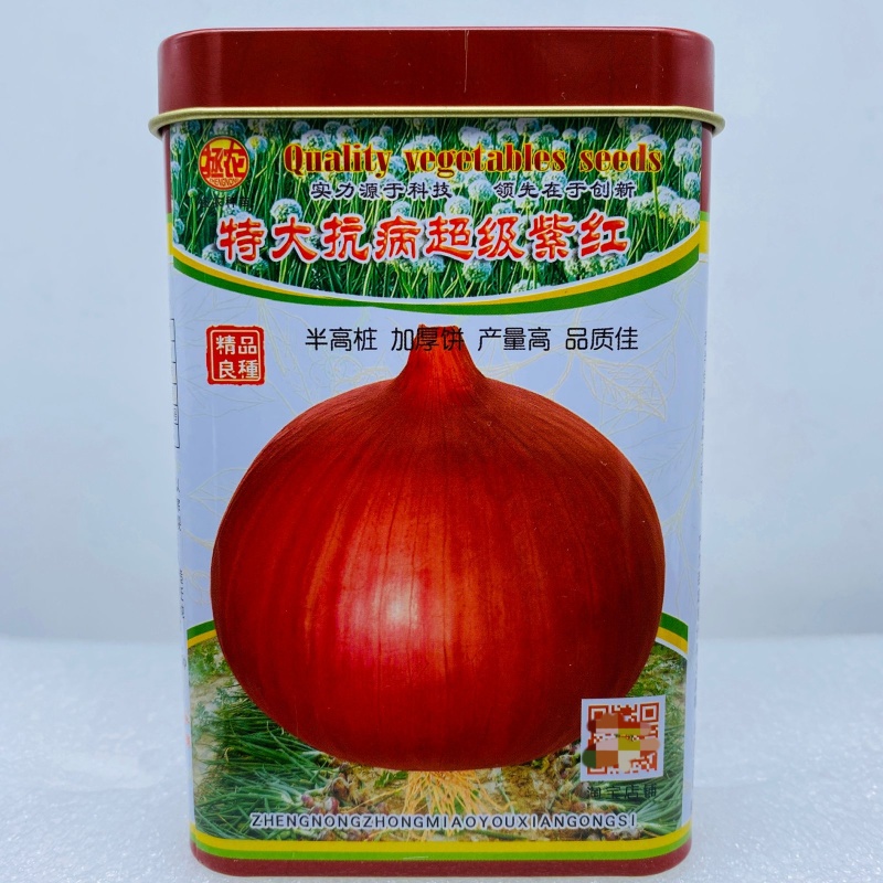 特大抗病**紫红洋葱种子圆型红皮洋葱种籽早熟抗逆四季蔬菜