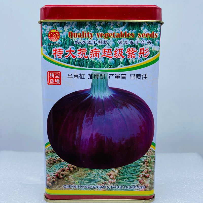 特大抗病**紫彤洋葱种子优质高产抗病耐储运农家春秋精选种