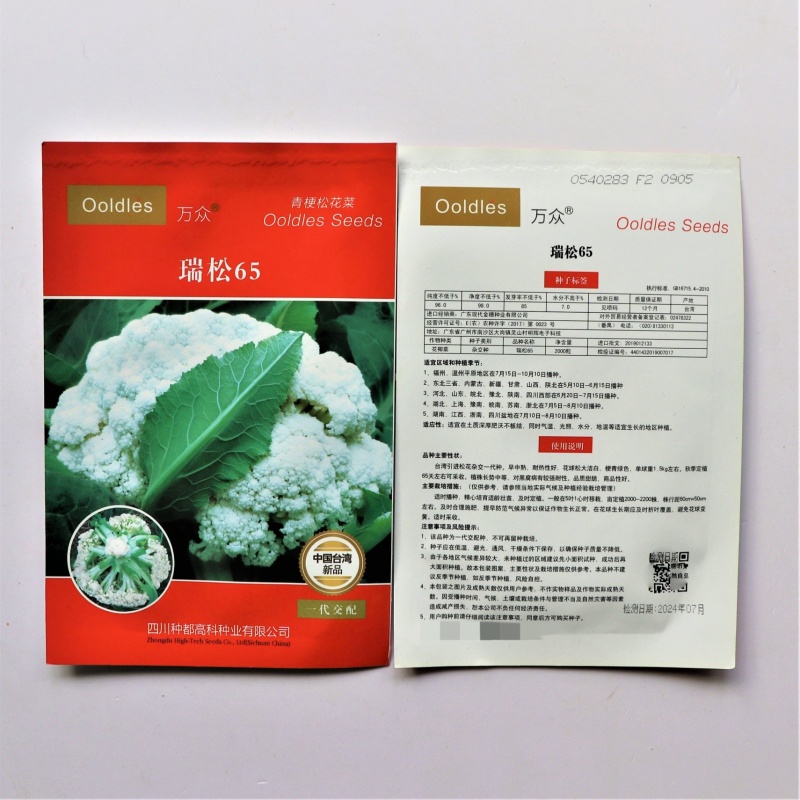瑞松65青梗松花菜种子耐热抗病花菜种子农家春秋蔬