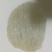 印尼/正品疏盏干盏燕窝