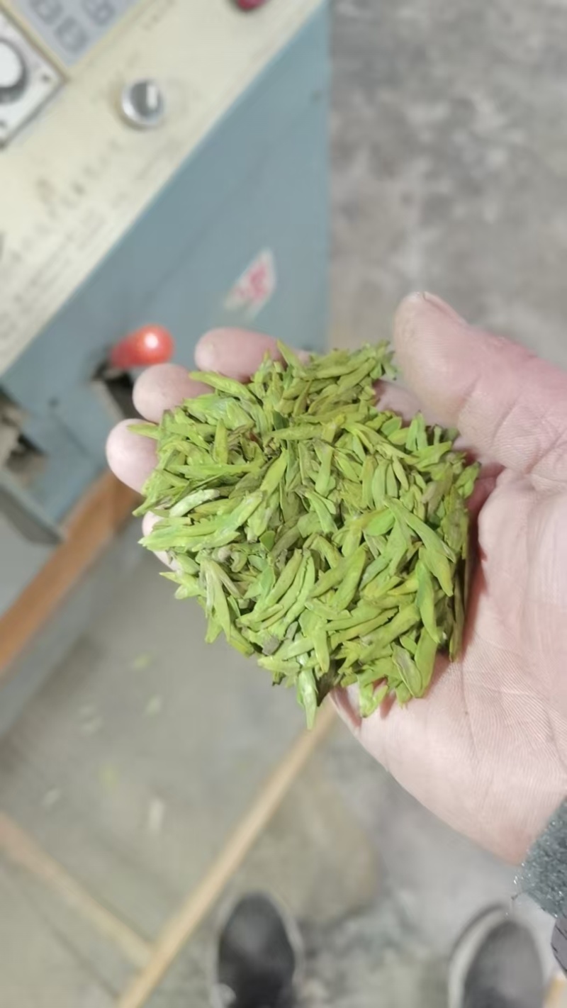 源头工厂龙井茶，需要找