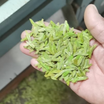 源头工厂龙井茶，需要找