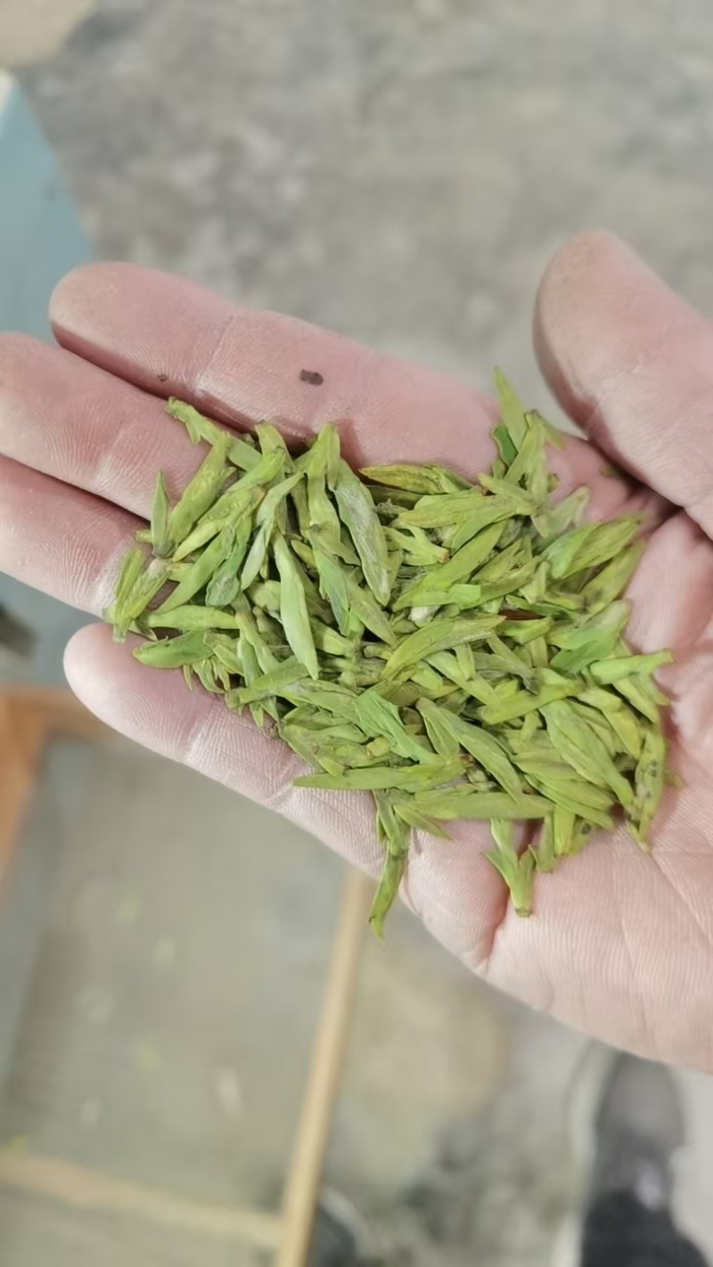 源头工厂龙井茶，需要找