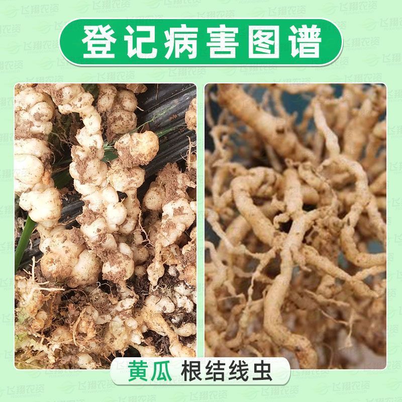 威远钓线10.5%阿维噻唑膦颗粒剂根结线虫根瘤病杀线虫药