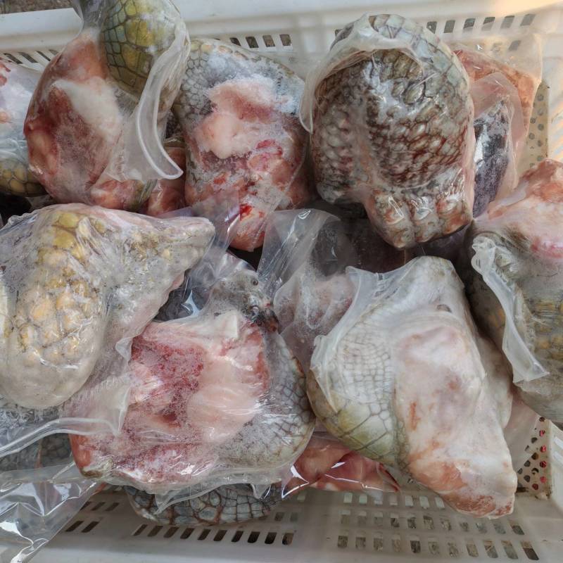 鳄鱼腿肉！