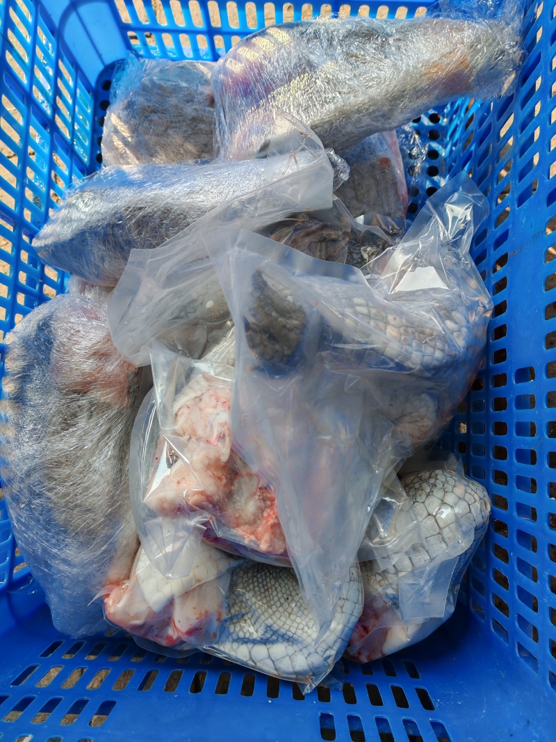 鳄鱼腿肉！