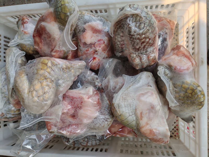 鳄鱼腿肉！
