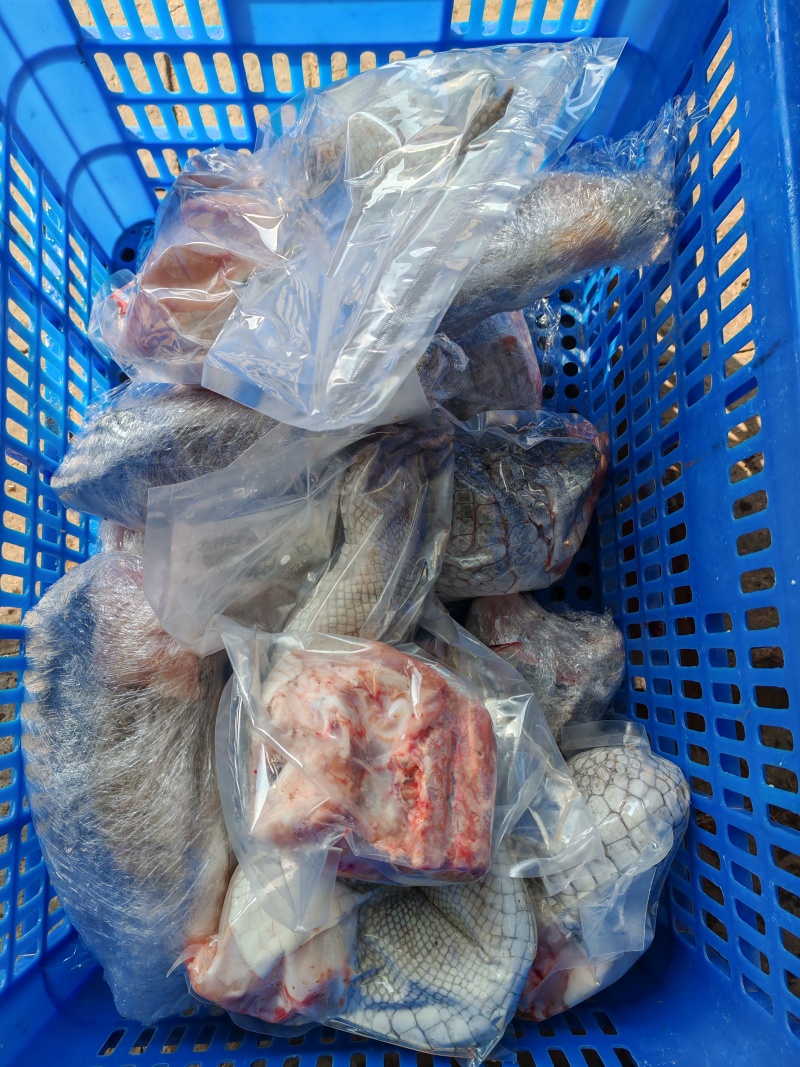 鳄鱼腿肉！