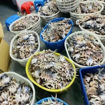 金鲳鱼海鲜干货，零添加剂