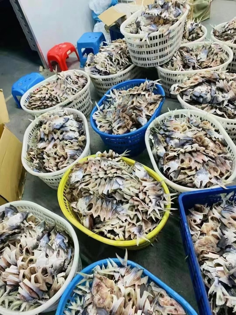 金鲳鱼海鲜干货，零添加剂