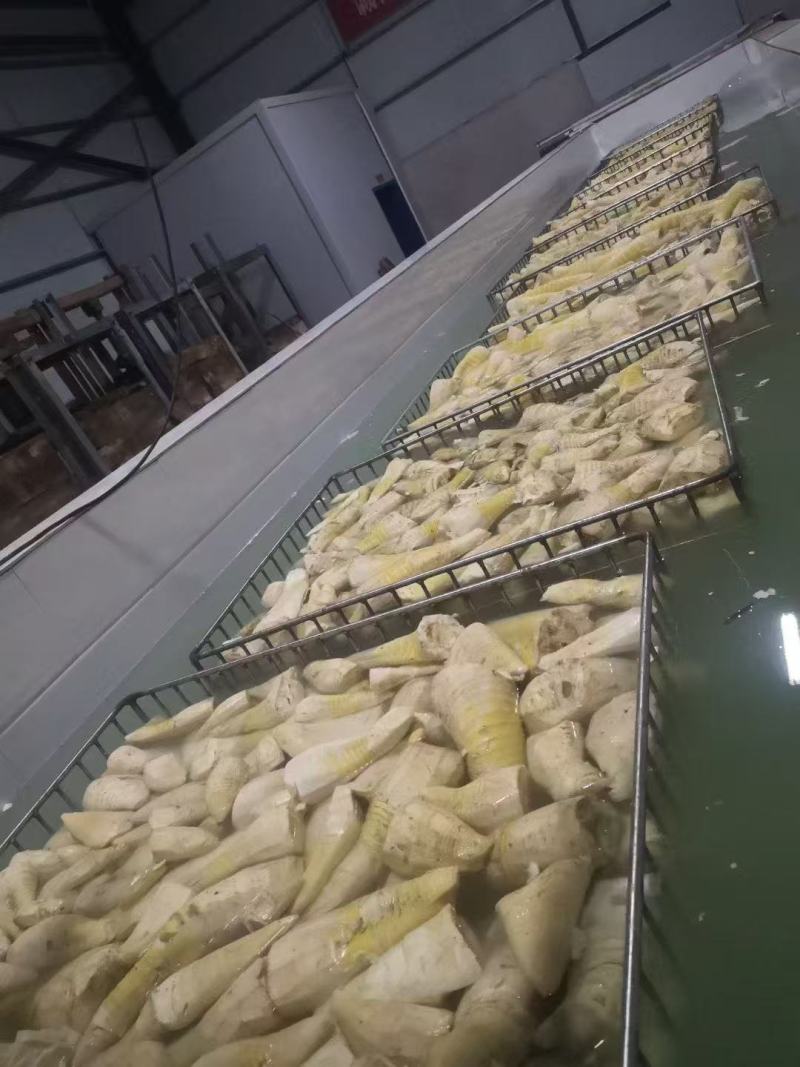 榨竹笋，脆嫩汤鲜，口感好，酒店，特色餐饮佳品