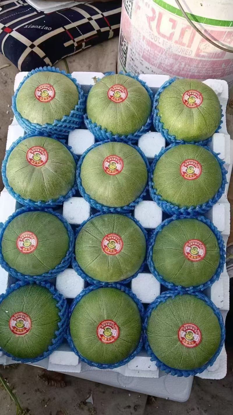 莘县绿宝大量供货品质保证欢迎来电洽谈对接市场商超
