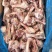 多肉羊棒骨