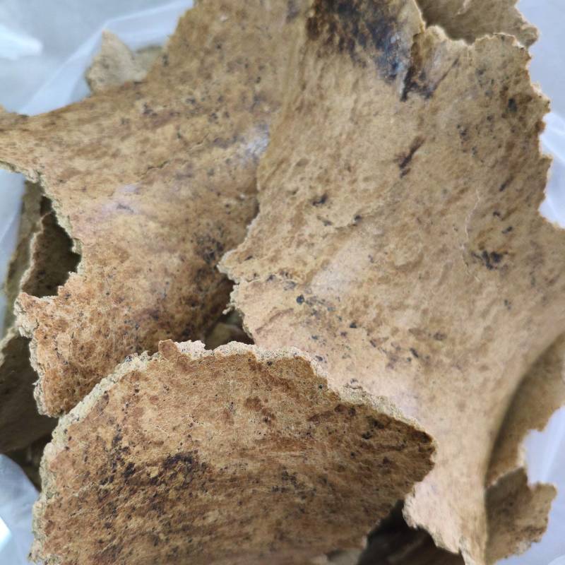 优质豆饼，厂家直销，量大从优