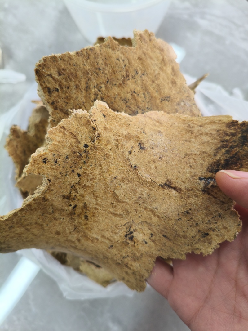 优质豆饼，厂家直销，量大从优