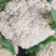 温州精品花菜大量供应各级市场，电商平台，单位食堂